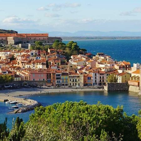 Gite Le Chalet Des Milles Et Un Chemins Castelnou 外观 照片