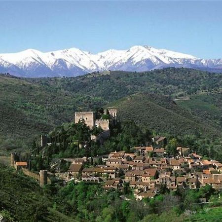 Gite Le Chalet Des Milles Et Un Chemins Castelnou 外观 照片