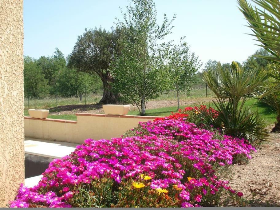 Gite Le Chalet Des Milles Et Un Chemins Castelnou 外观 照片